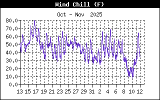 Wind Chill History